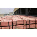 Copper plate / copper sheet